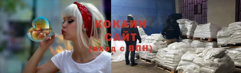 где найти   Павловский Посад  КОКАИН Fish Scale 