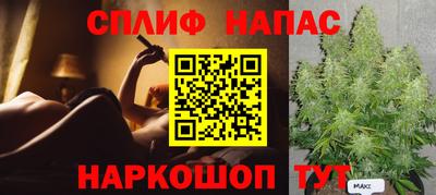 spice Дубна