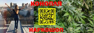 Альфа ПВП Донской