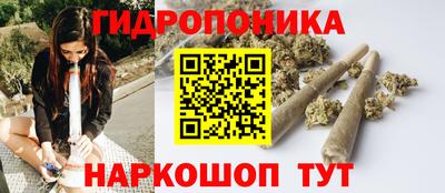 spice Дубна