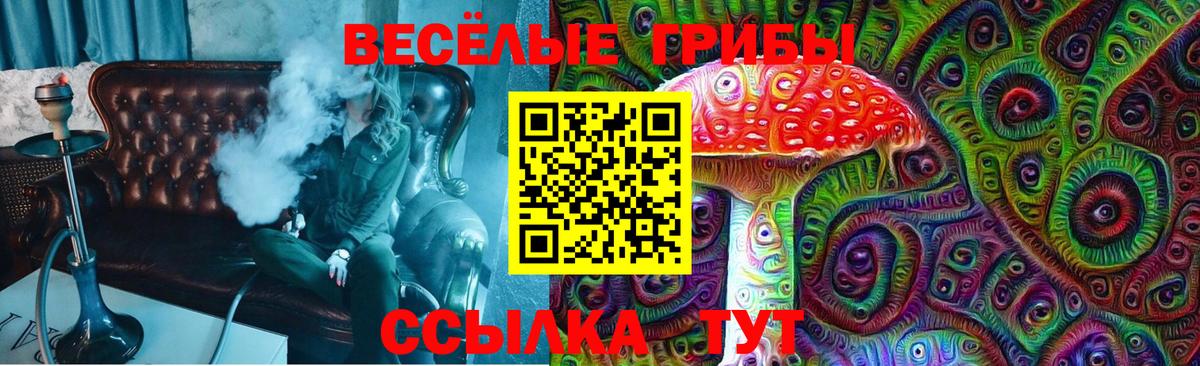 Галлюциногенные грибы ЛСД Павловский Посад